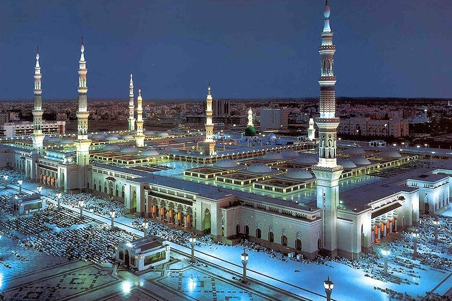 91G4QdELyCL._AC_UF894,1000_QL80_